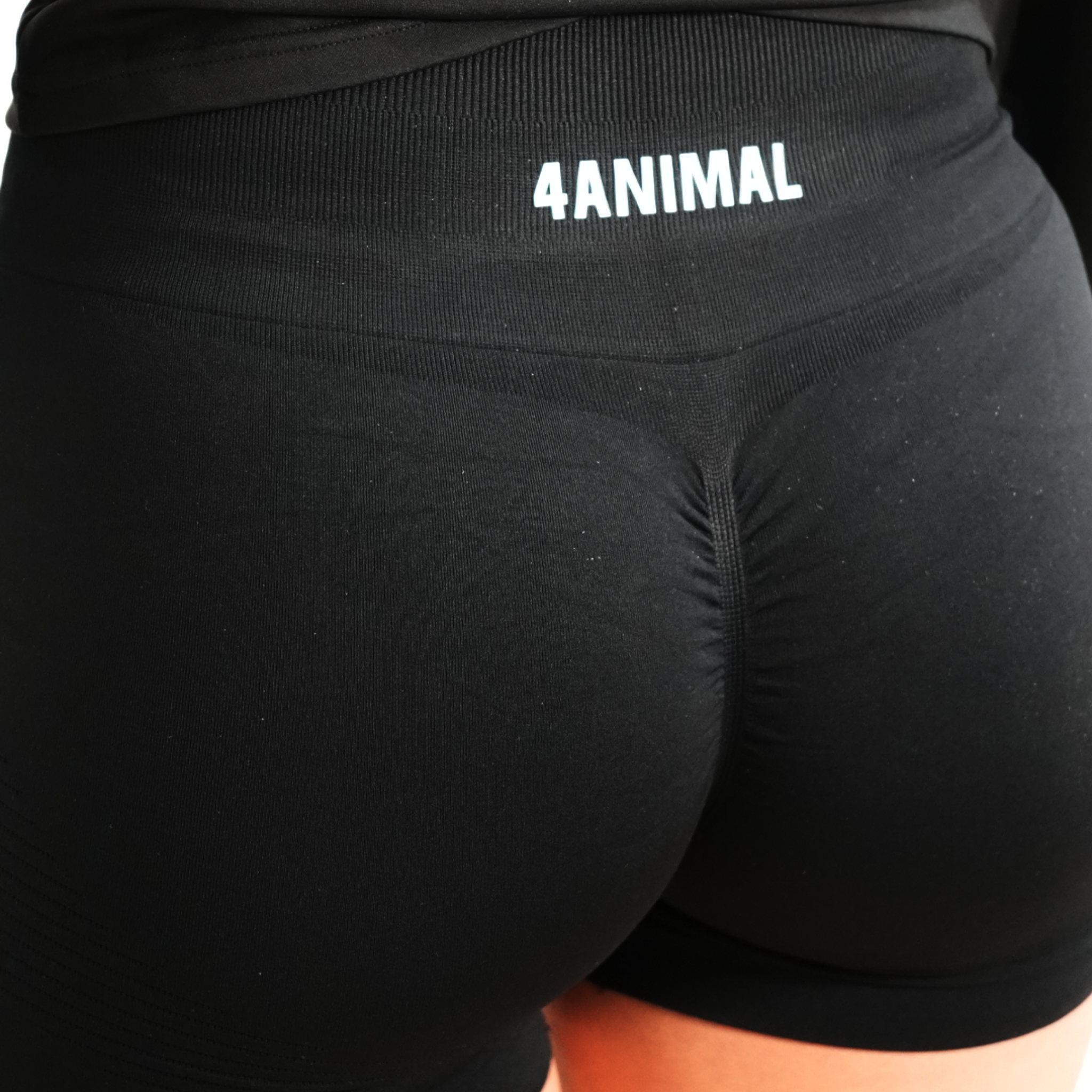 SECTION ØNE | PERFORMANCE SHORT